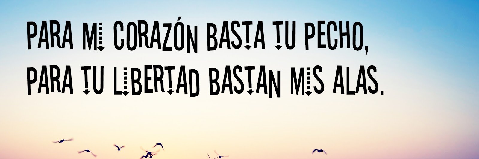 bertubaspi's profile banner image