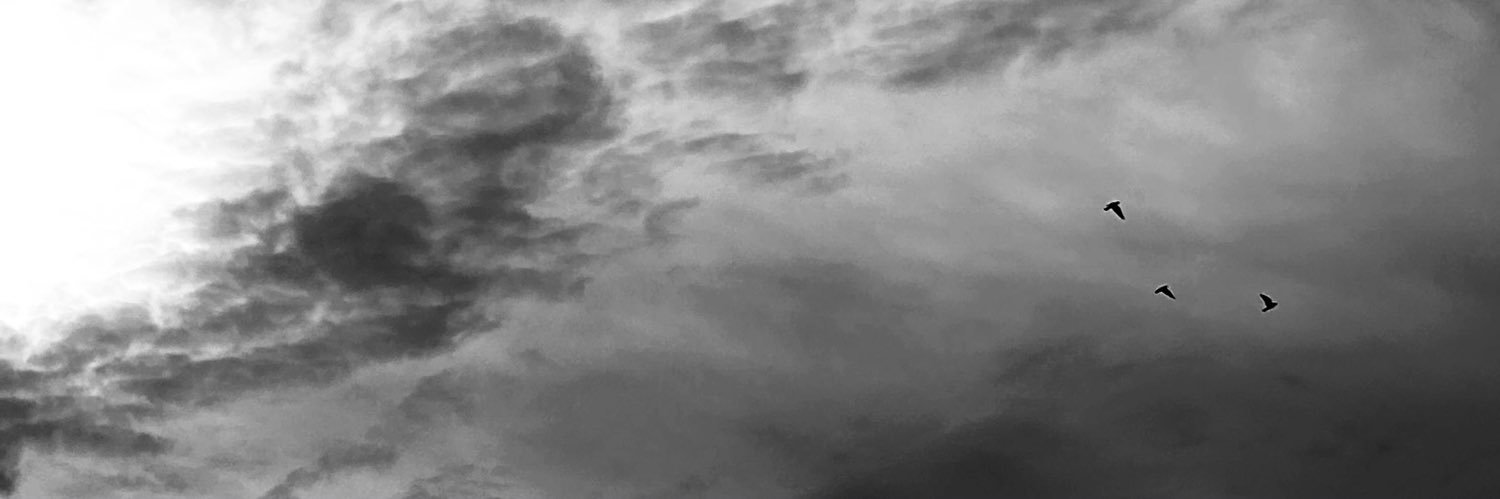 ހޥގ ❀ ₊˚๑ ⋆ banner