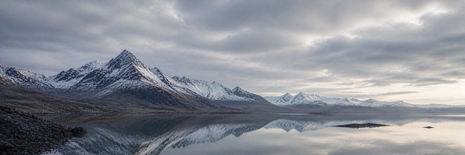 Skye Reid banner