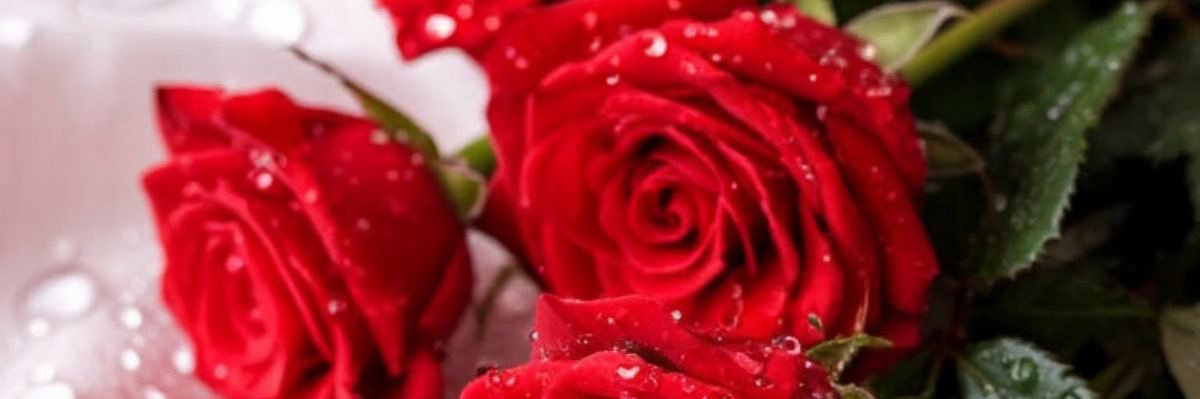 クレヨン姉さん banner