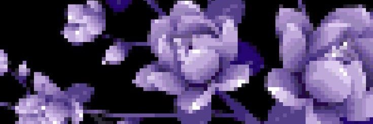 Lui banner