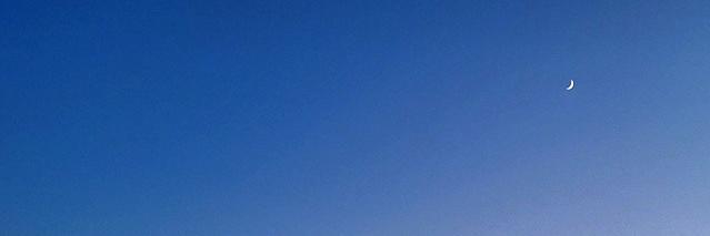 l4nd0's profile banner image
