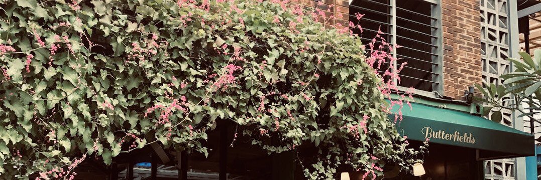 Asha. banner
