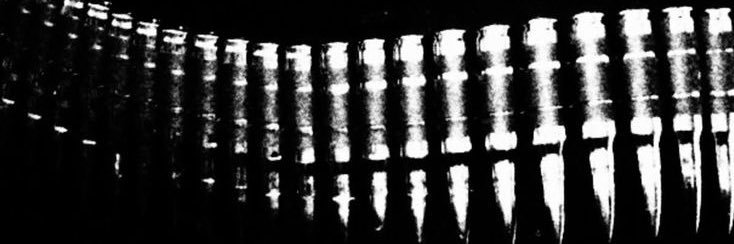 Epif1n banner