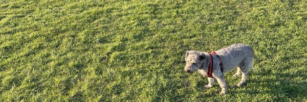 KevinHewick Profile Banner