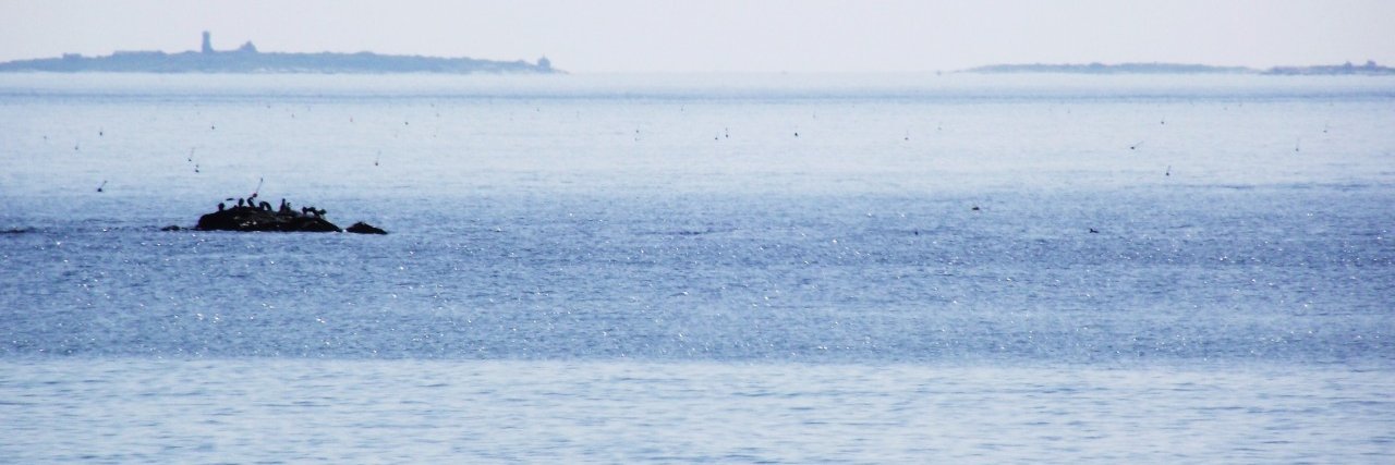 bryanhboucher's profile banner image