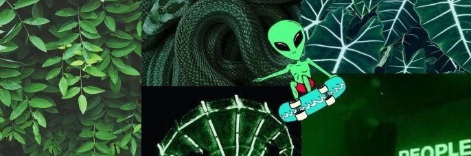 laydaaura01's profile banner image