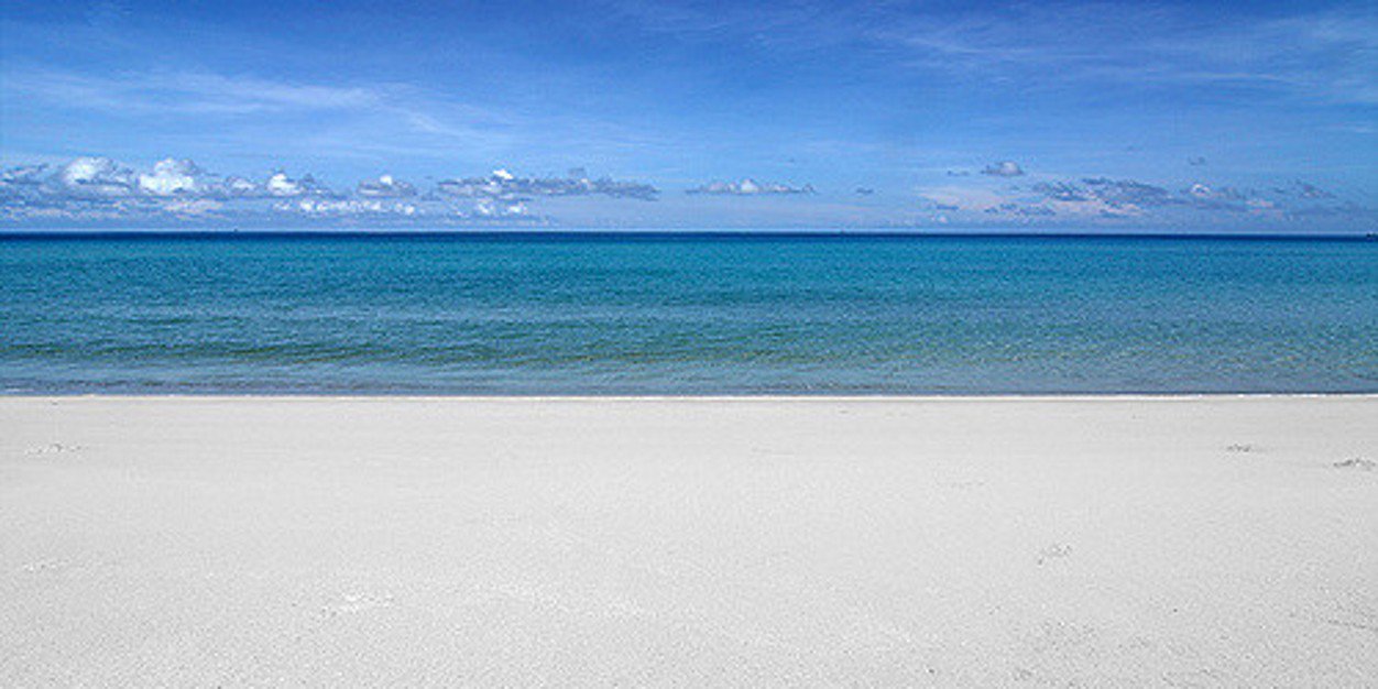 Lady Amos 🙏🏻❤️🌺 banner