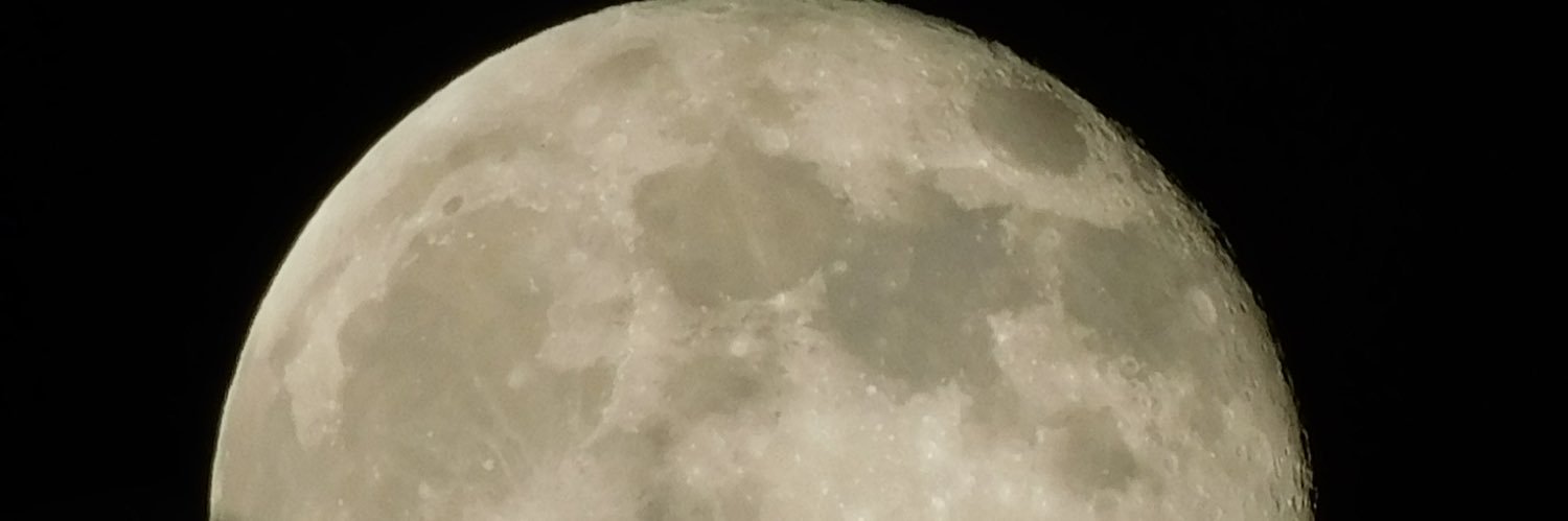 Andrew Vaughn banner