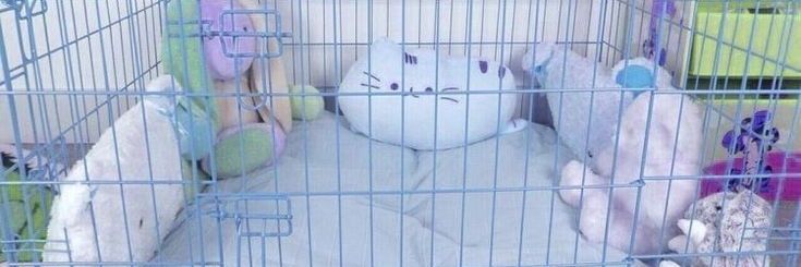xpvppymvttx's profile banner image
