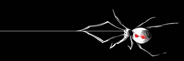 𝔜 banner