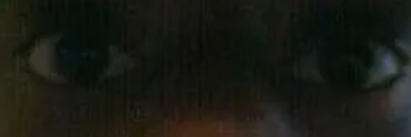 Pilosstuff banner
