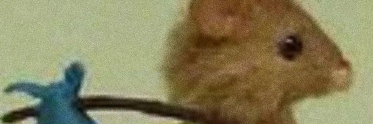 serg_from_hell's profile banner image