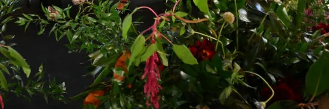 FindElrem's profile banner image