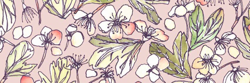 HISPOPshine's profile banner image