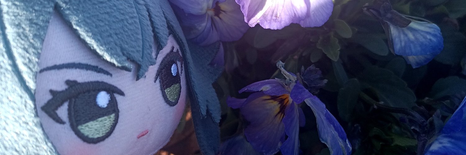 くーぽん banner