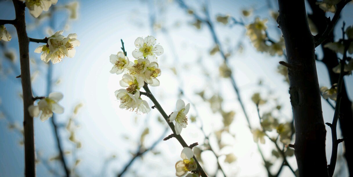 tao9768's profile banner image
