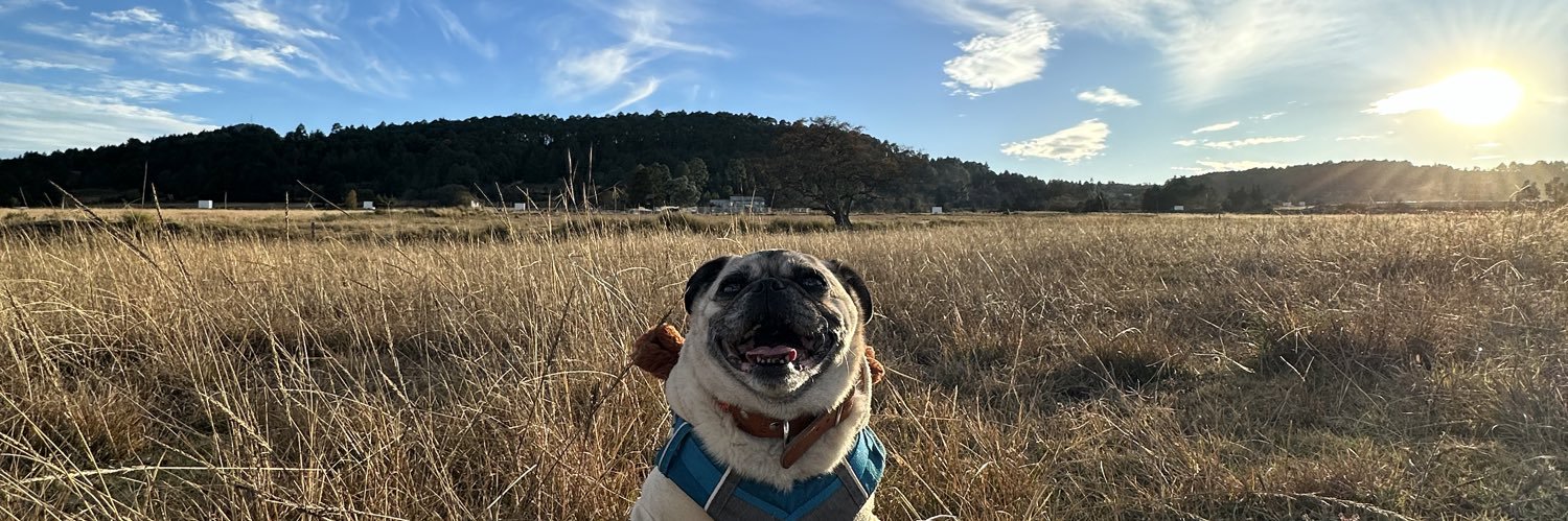 brserranoc's profile banner image