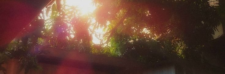 aster ★ banner