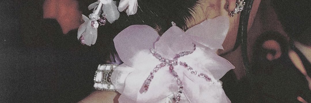 𖧷˚ banner