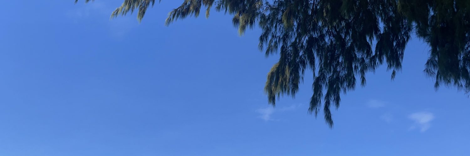 T N banner