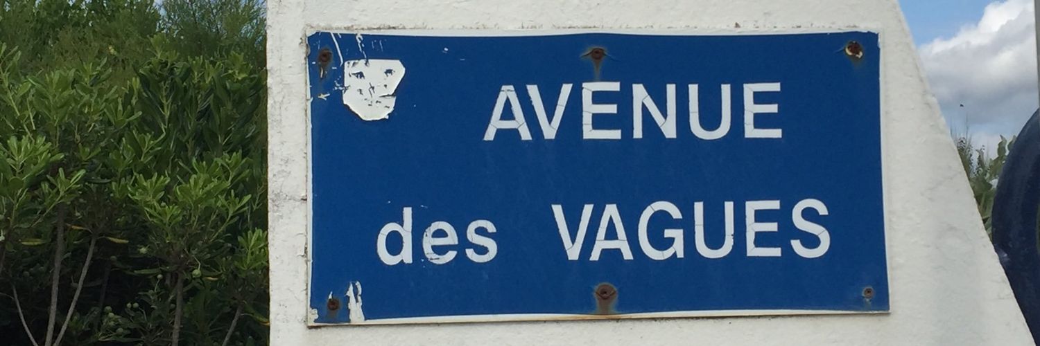 Vague Bird News banner