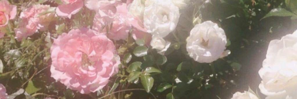 YY. banner