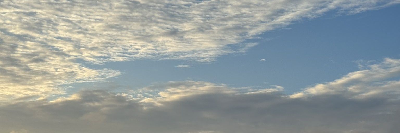 . banner
