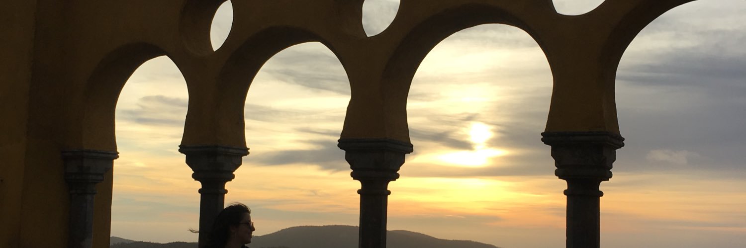larissafferraz's profile banner image