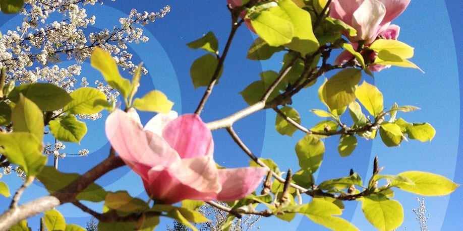 Per-Anders Edwards banner