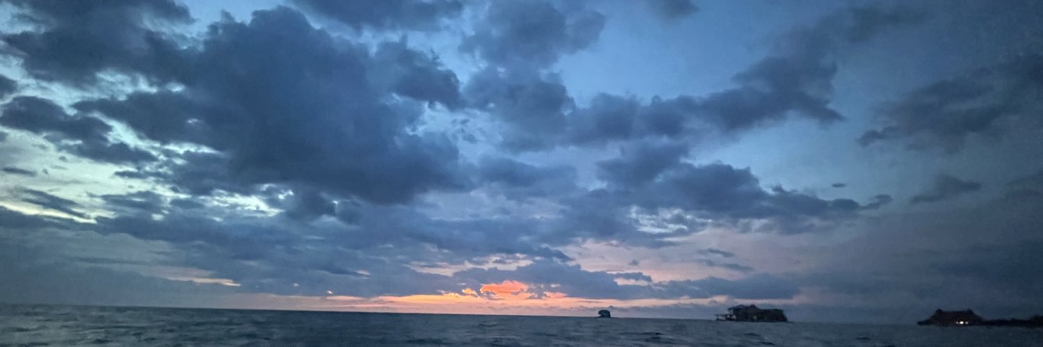 LisiDaniela's profile banner image