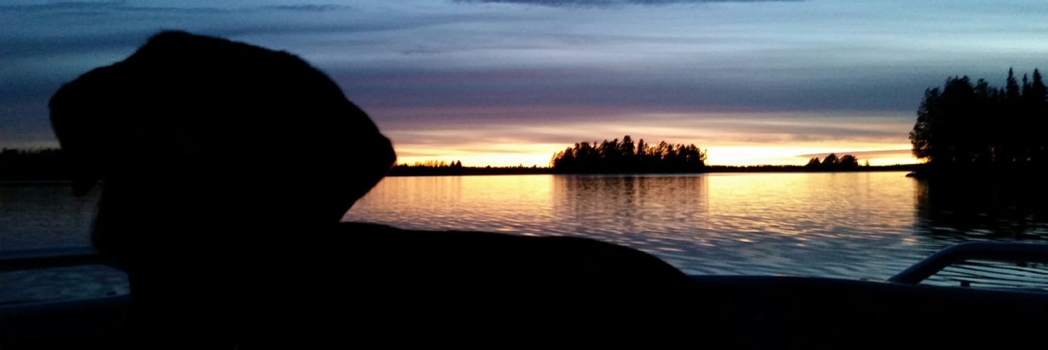 AnjCoplin's profile banner image