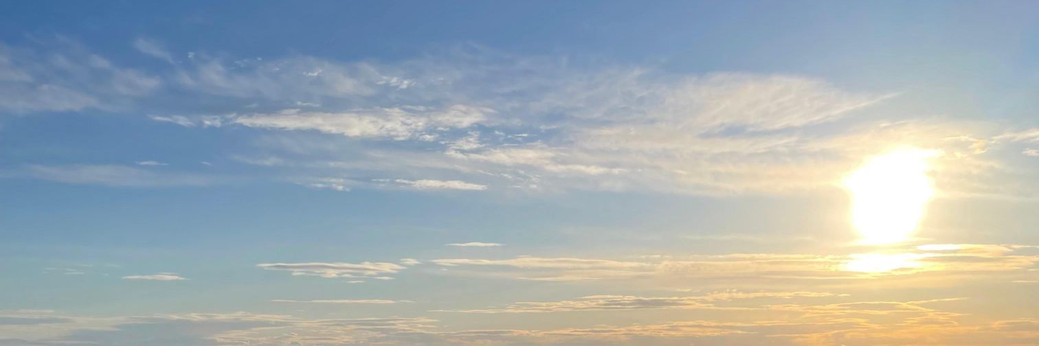 BWCdani 🍆 banner
