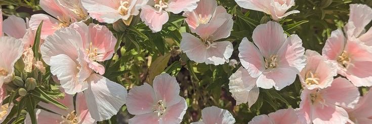 riyo ~ edtwt | FOLLOW BAN banner