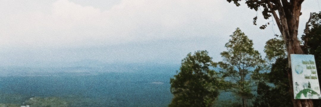 mclarv banner