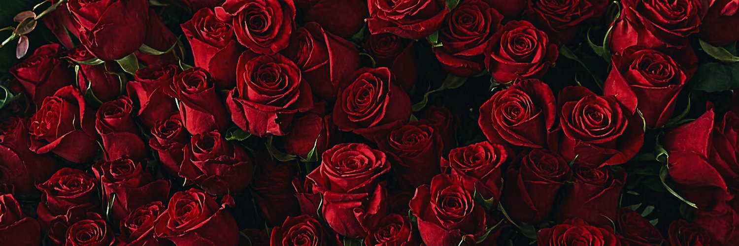 𐙚⋆ banner
