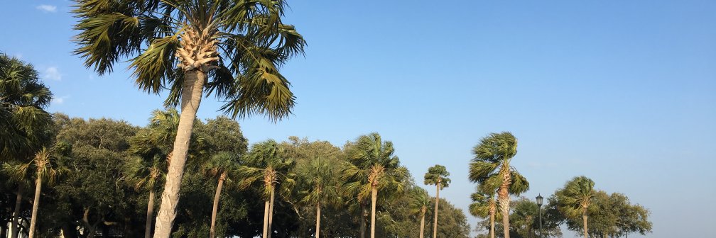 DaveB90's profile banner image
