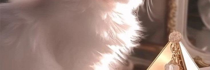 areum963's profile banner image