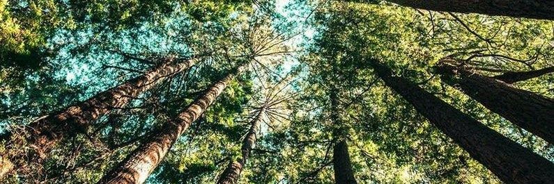 soylafranm's profile banner image
