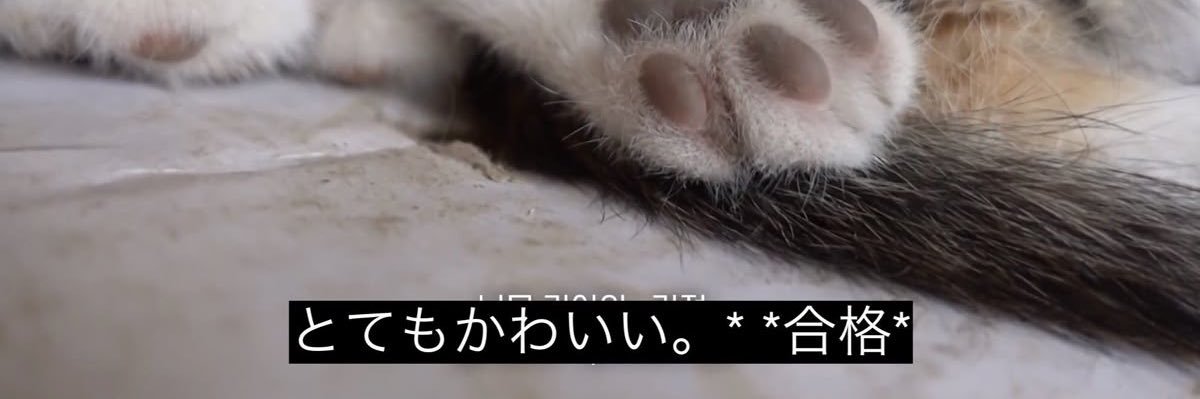 蛇足 banner