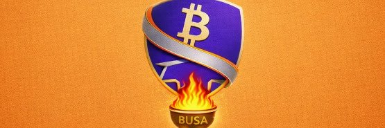 BitcoinUSA swap banner