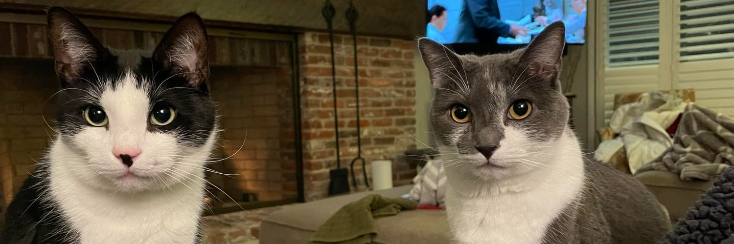 aprilwilliamsba's profile banner image