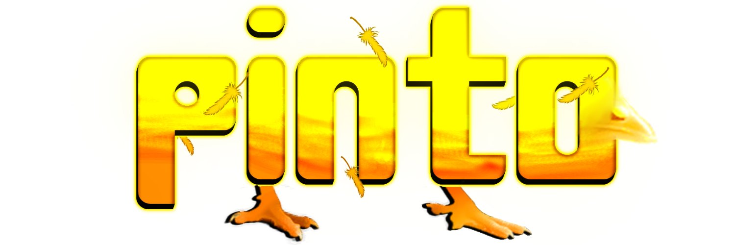 PintoDEV banner