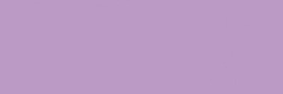 allie banner
