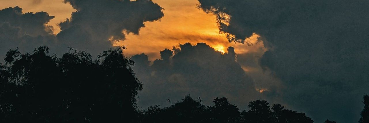 Andrea Morgado banner