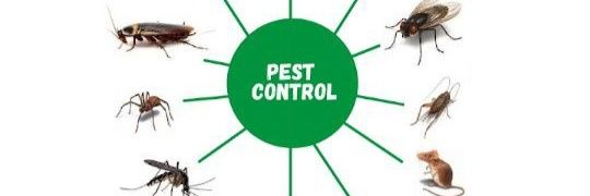 Pest_Control_Solutions banner