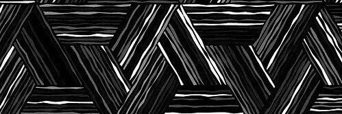 PajaroCastroso's profile banner image