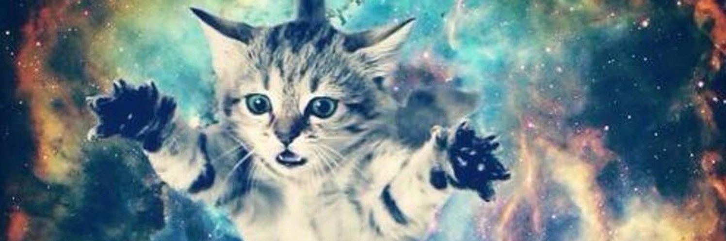 Cat ⚞ • ⚟ banner