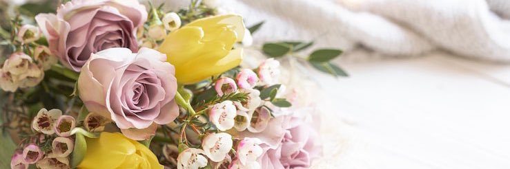 紗理奈🐈‍⬛🎀名古屋 banner