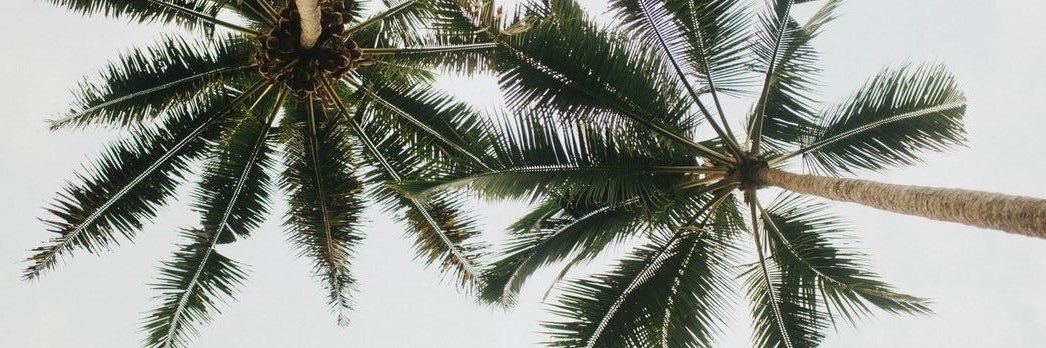 naesarchivee's profile banner image